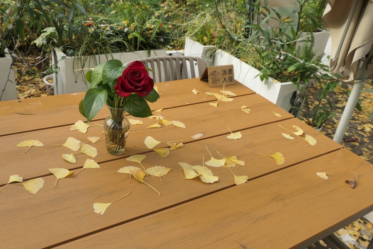 【金色的秋天】