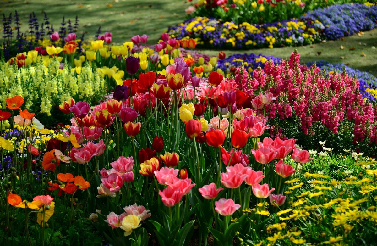 继续在云台花园里采花。