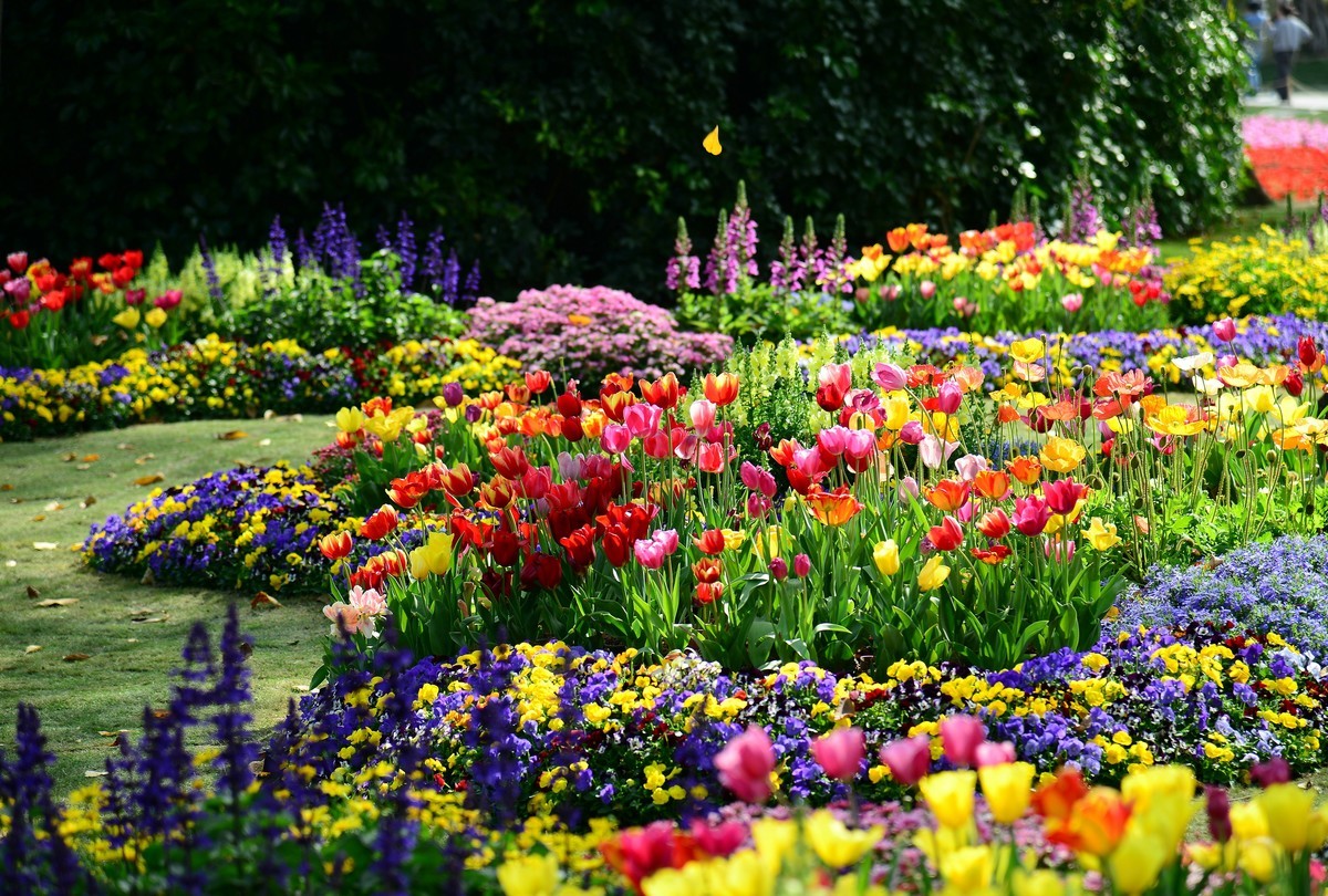继续在云台花园里采花。