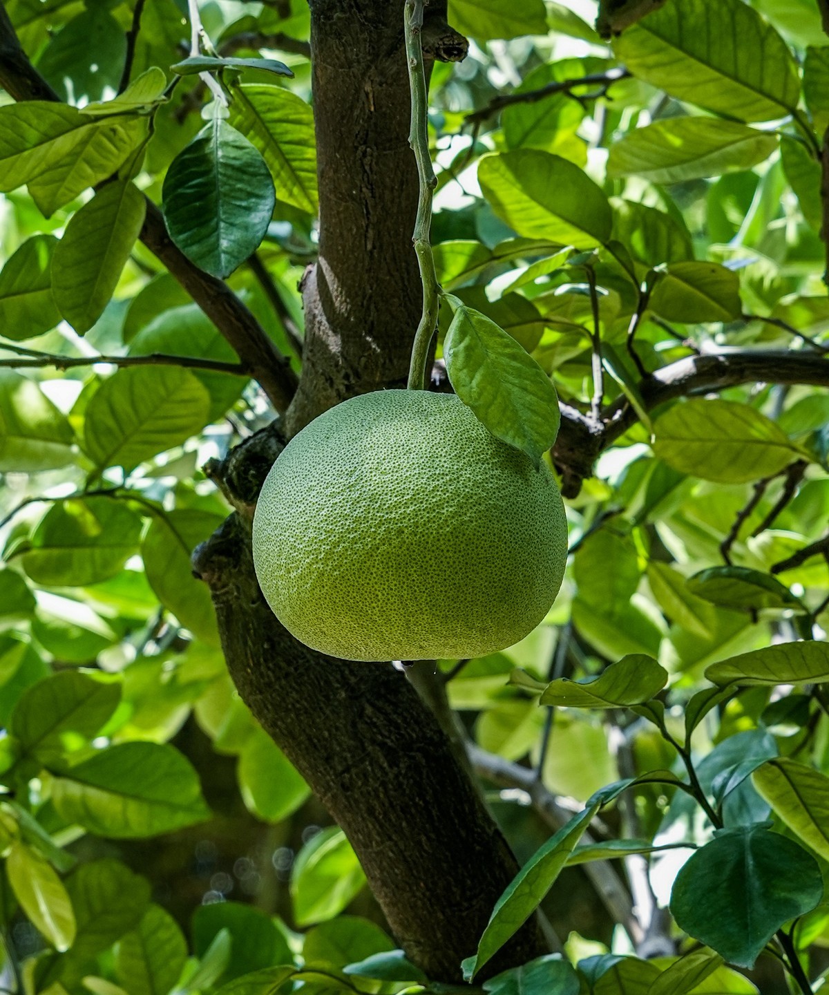 秋日山东行20240923 《12》