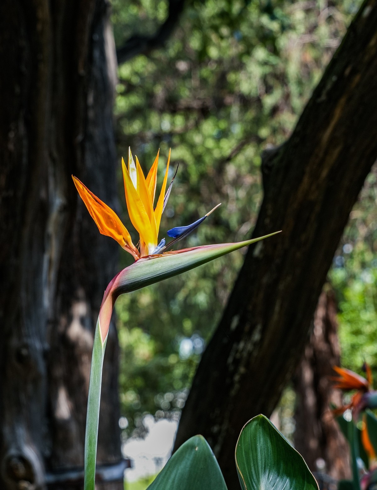 秋日山东行20240923 《12》