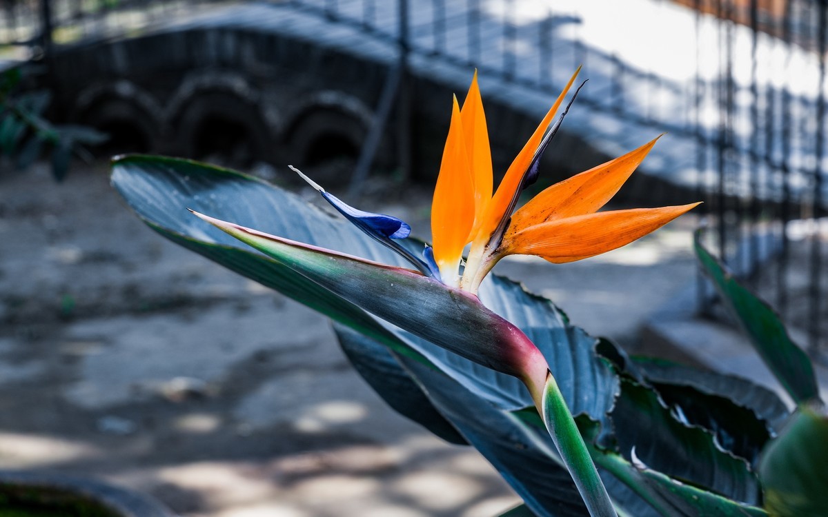 秋日山东行20240923 《12》