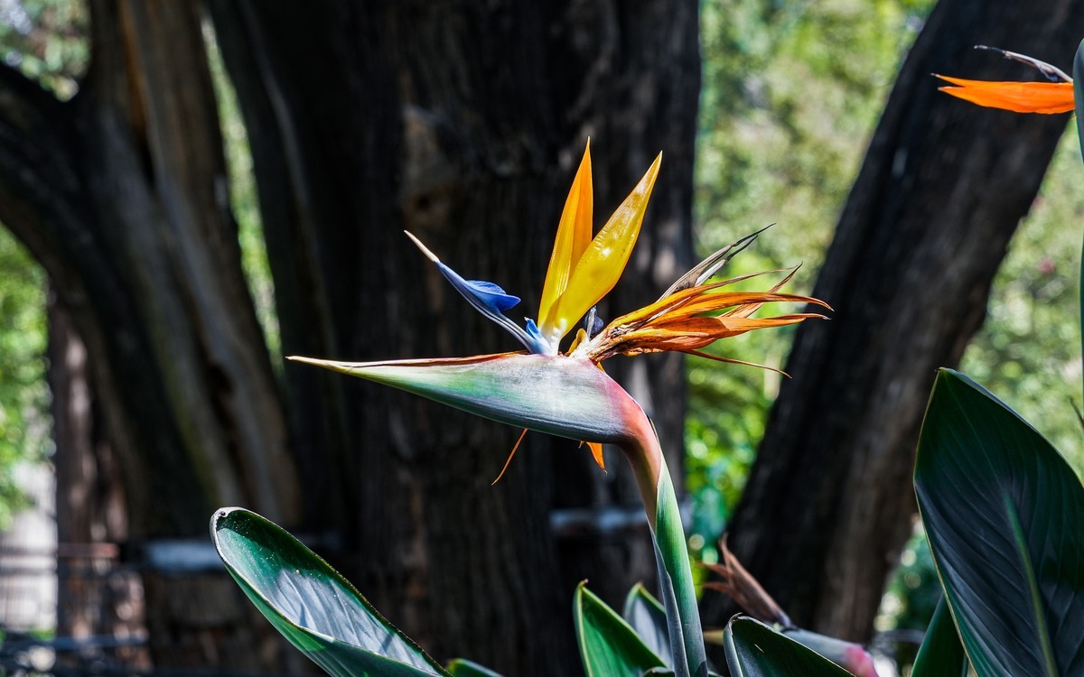 秋日山东行20240923 《12》