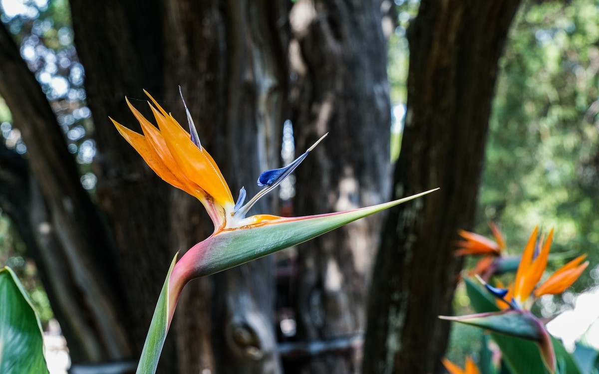 秋日山东行20240923 《12》