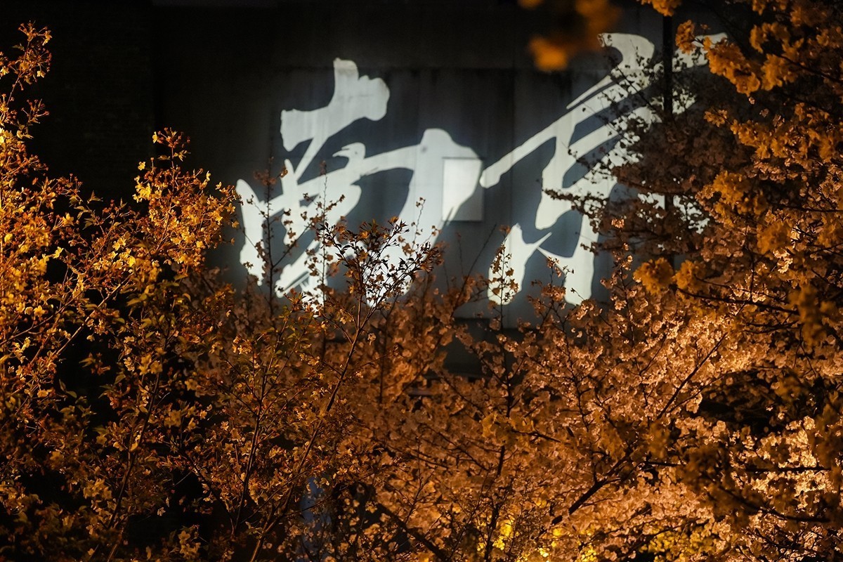 2025年第0207贴-南京人文风光旅拍（0328）