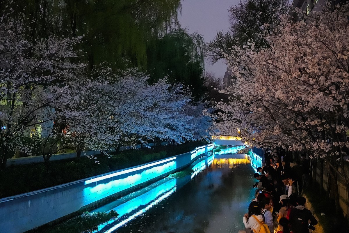 2025年第0207贴-南京人文风光旅拍（0328）