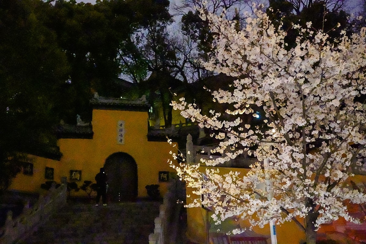 2025年第0207贴-南京人文风光旅拍（0328）