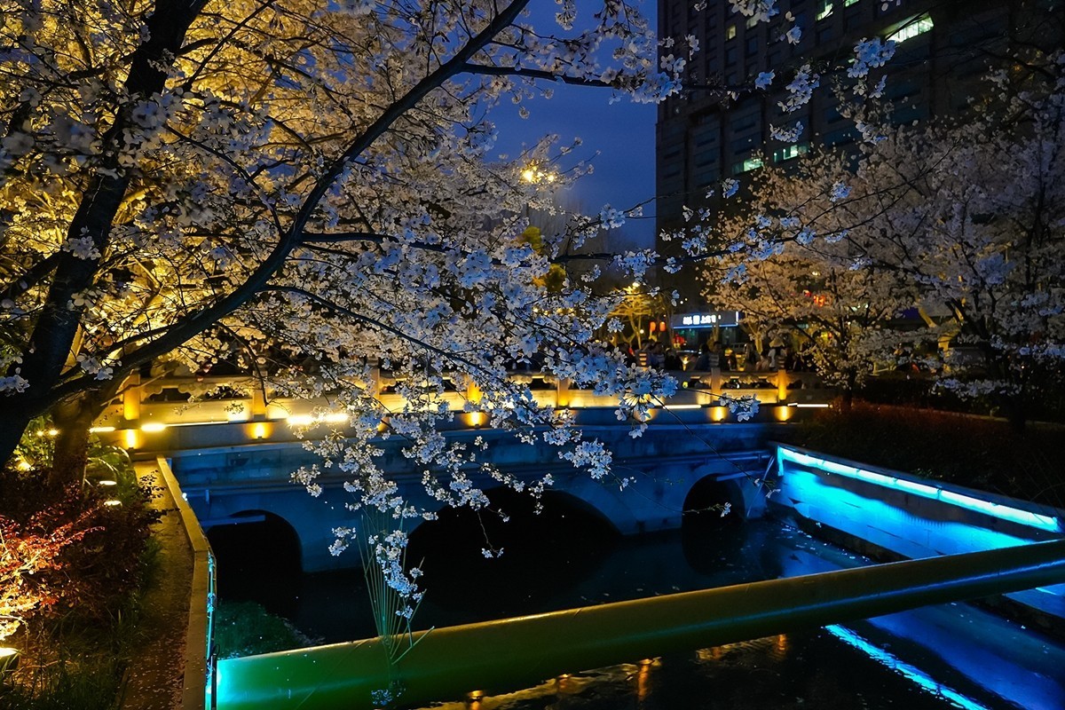 2025年第0207贴-南京人文风光旅拍（0328）