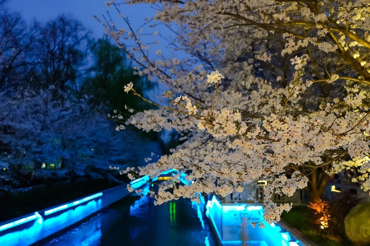 2025年第0207贴-南京人文风光旅拍（0328）