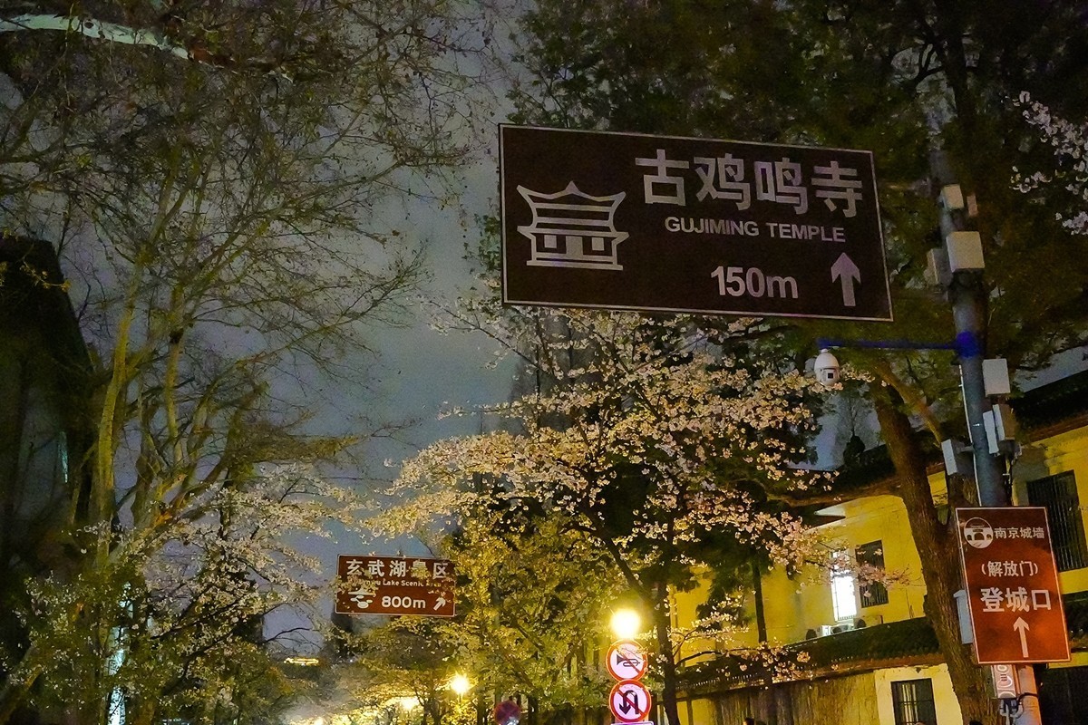 2025年第0207贴-南京人文风光旅拍（0328）