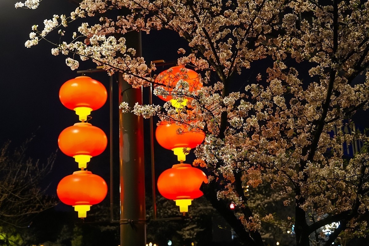 2025年第0207贴-南京人文风光旅拍（0328）