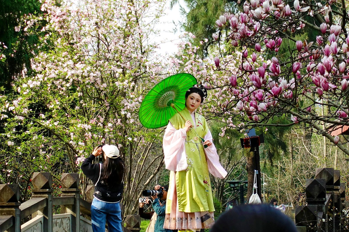 花前树下看妹子
