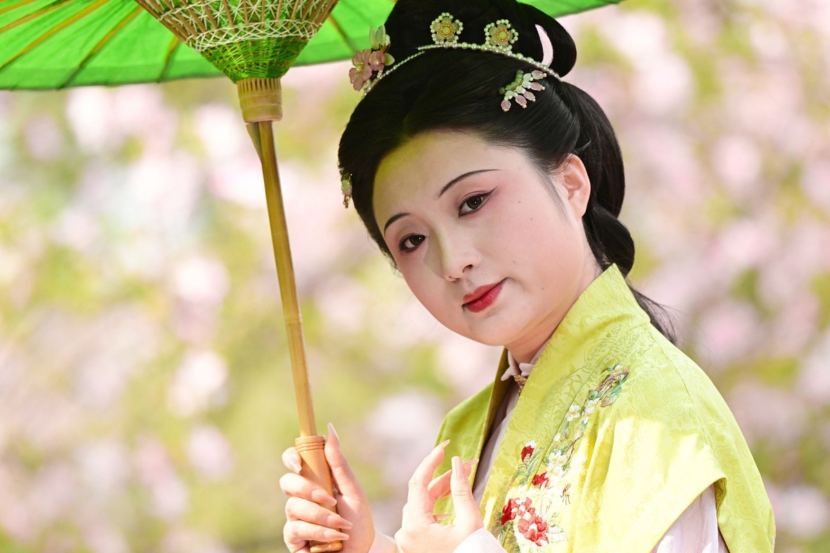 花前树下看妹子