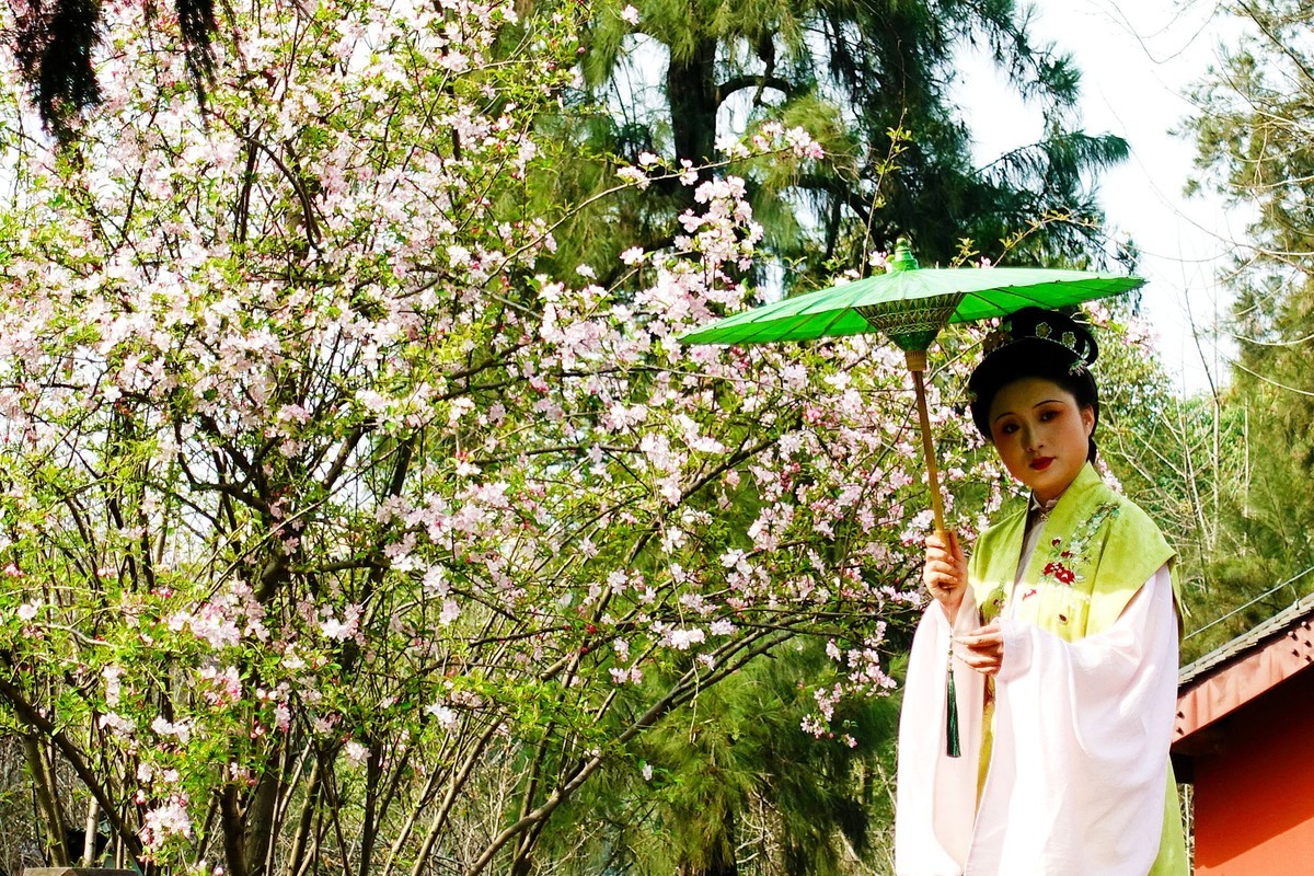 花前树下看妹子