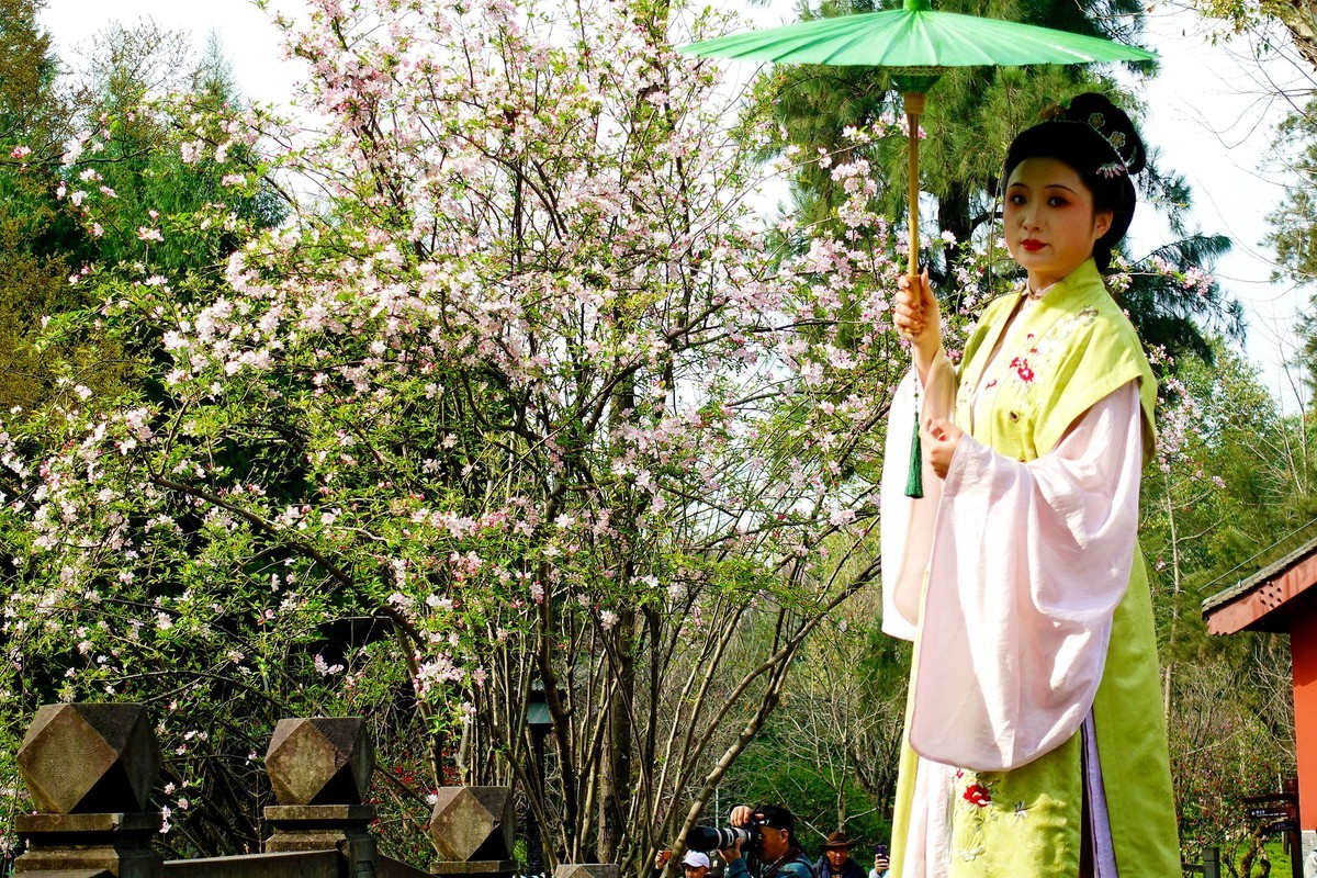 花前树下看妹子