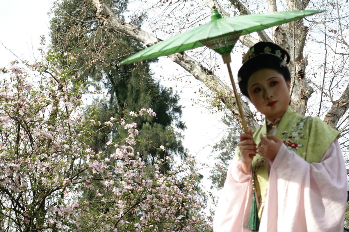 花前树下看妹子