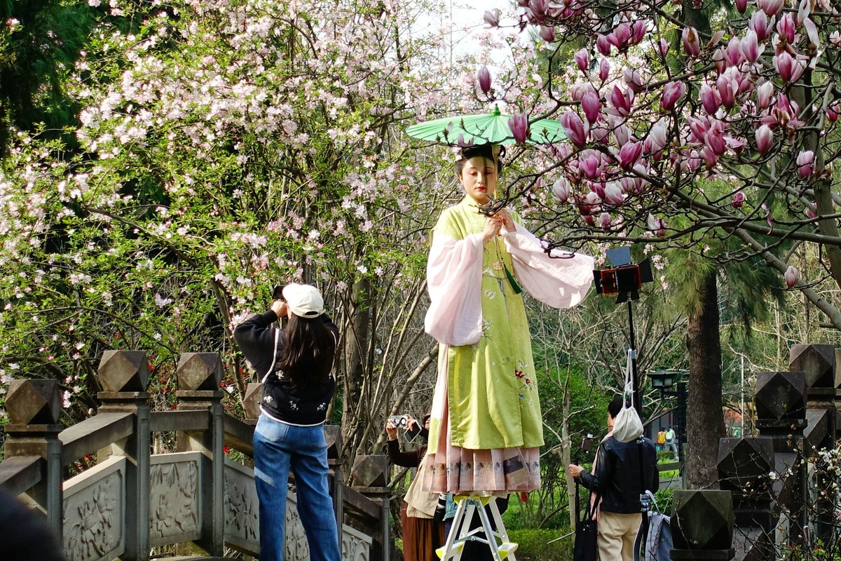 花前树下看妹子