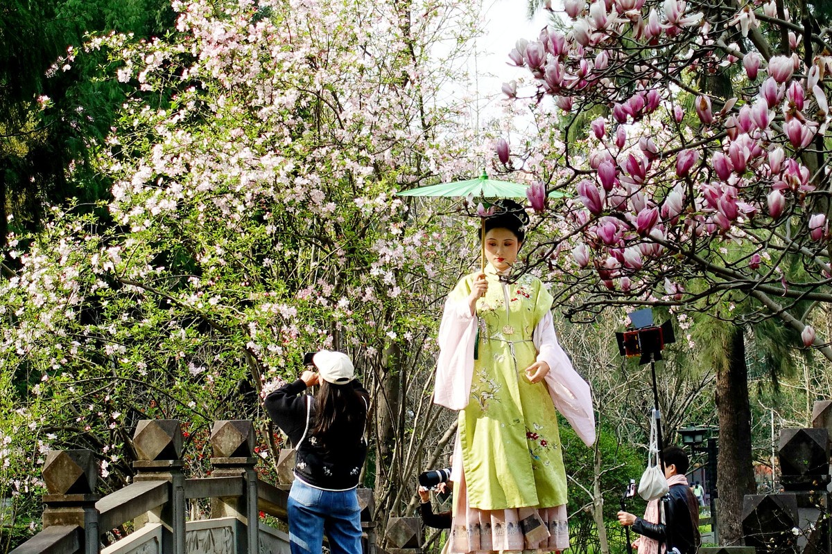 花前树下看妹子