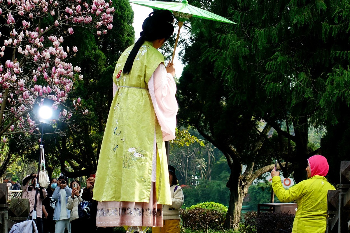花前树下看妹子