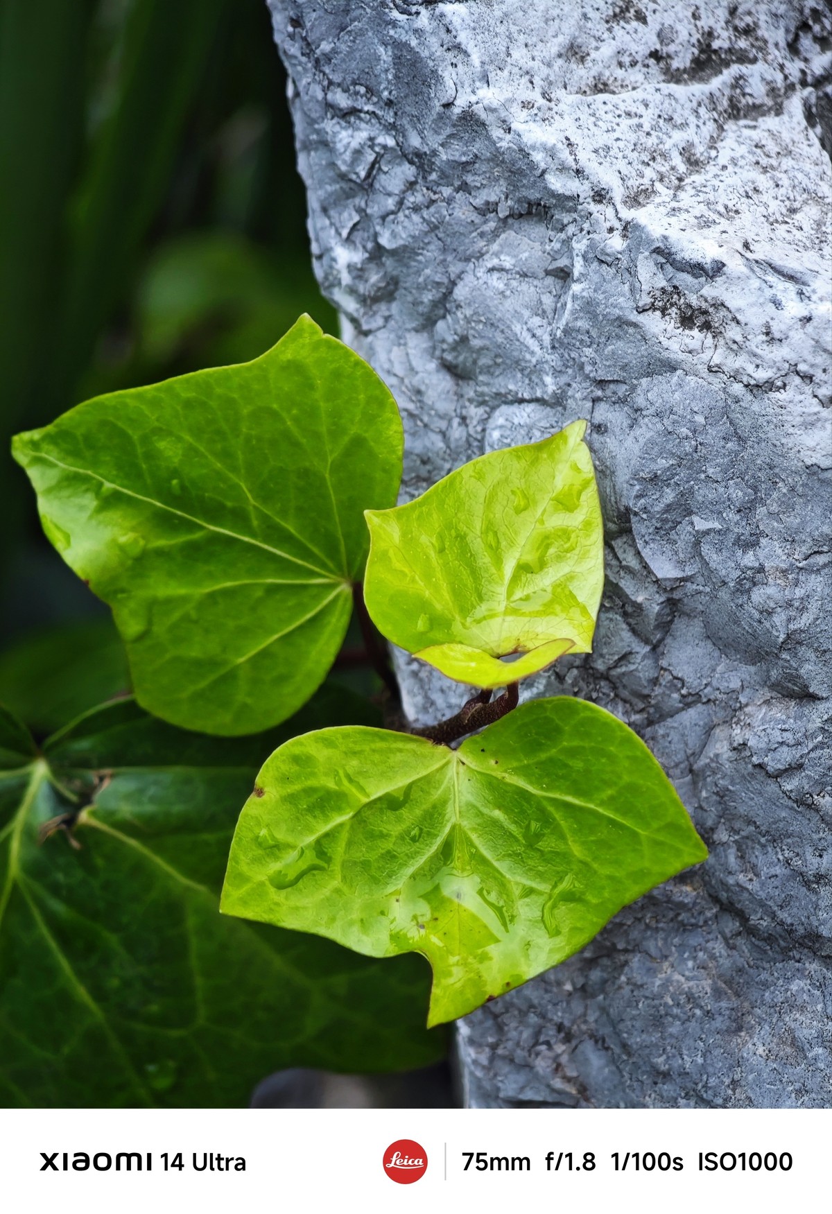 手机随拍记录生活
