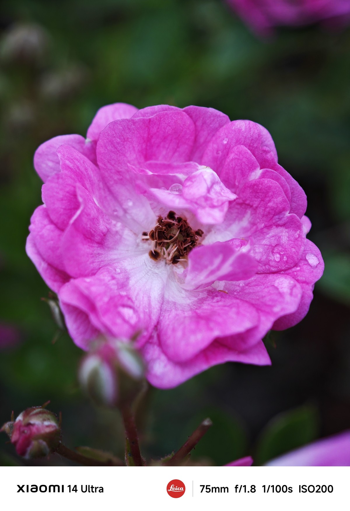 手机随拍记录生活