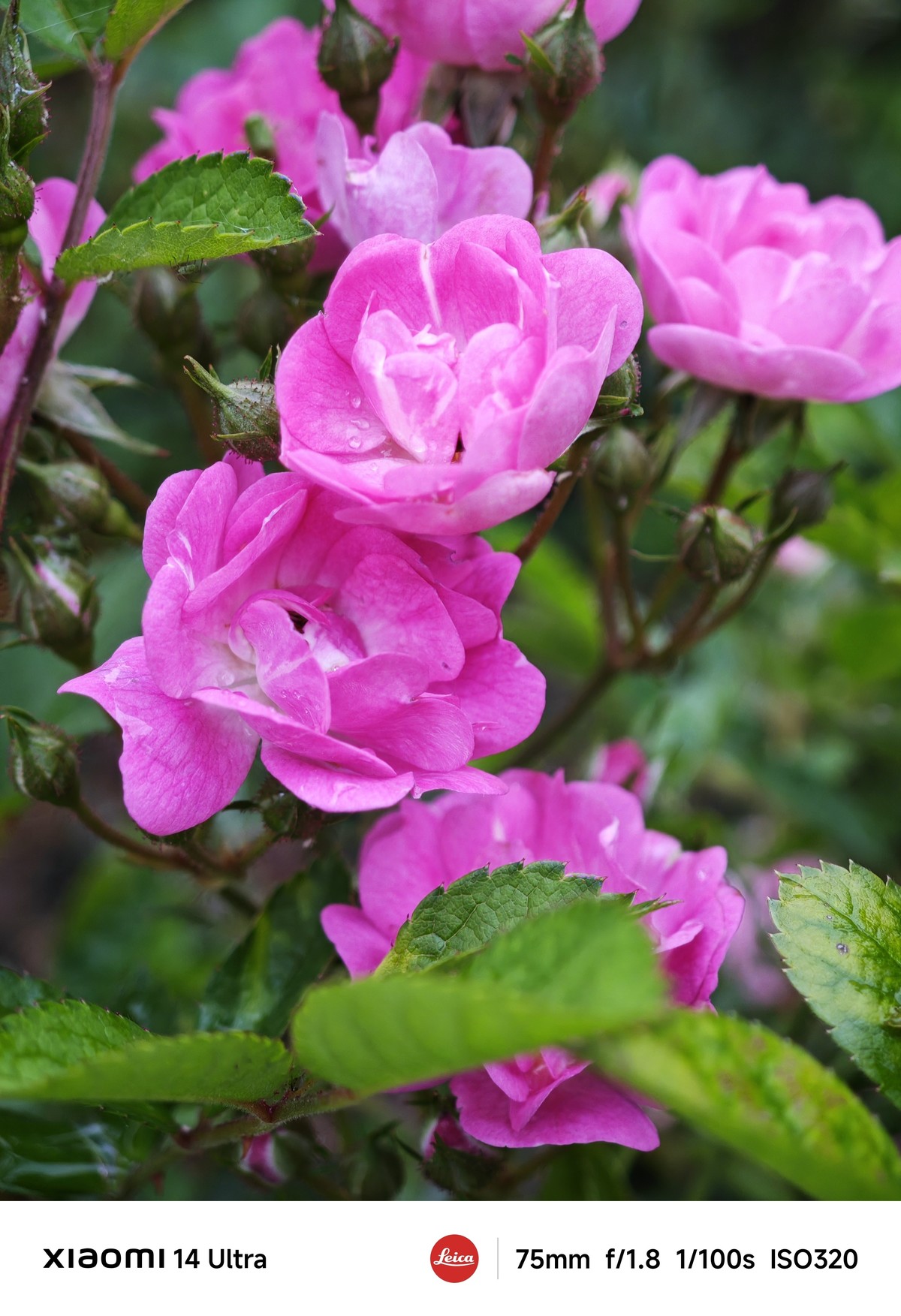 手机随拍记录生活