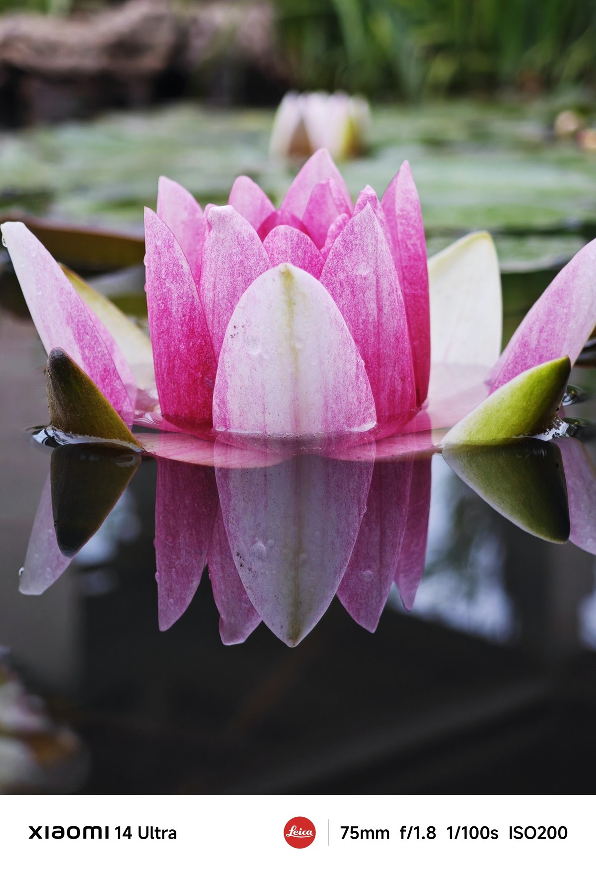 手机随拍记录生活