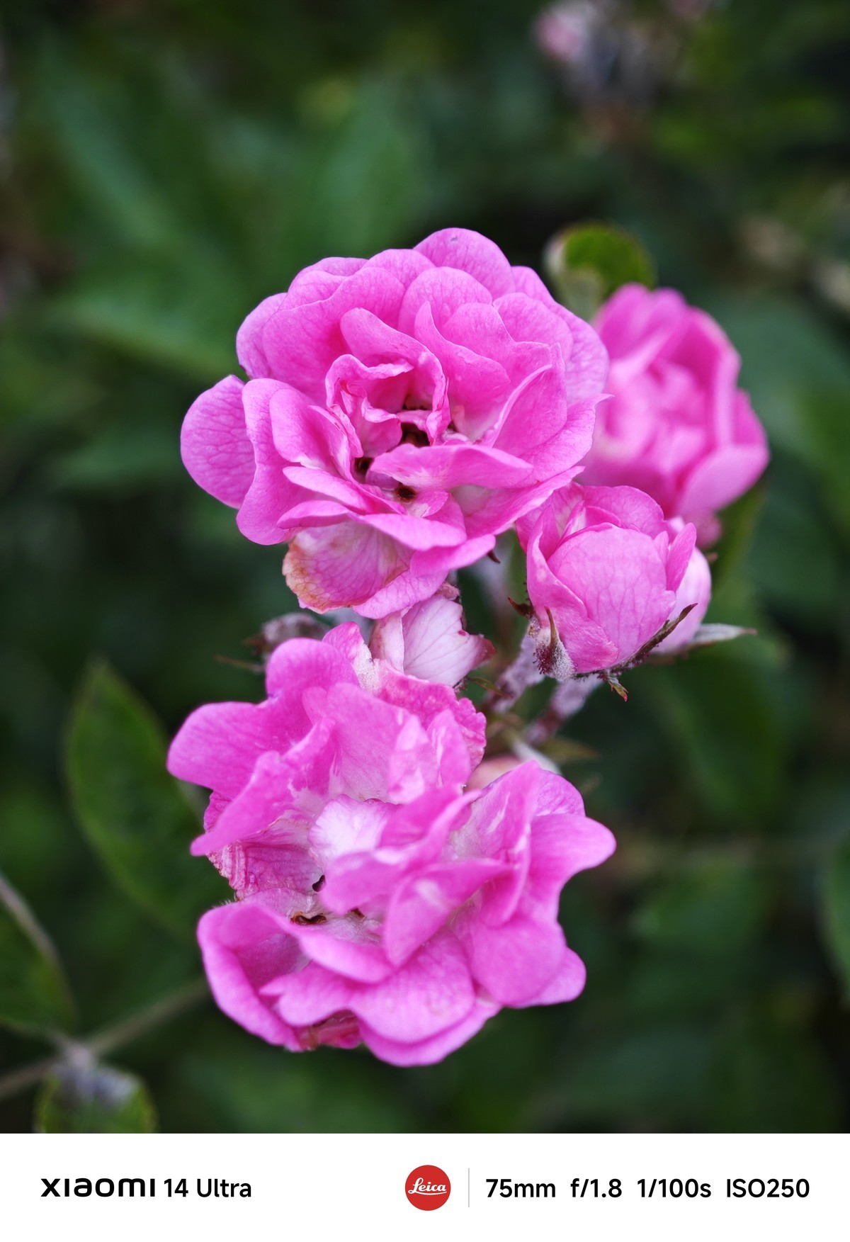 手机随拍记录生活