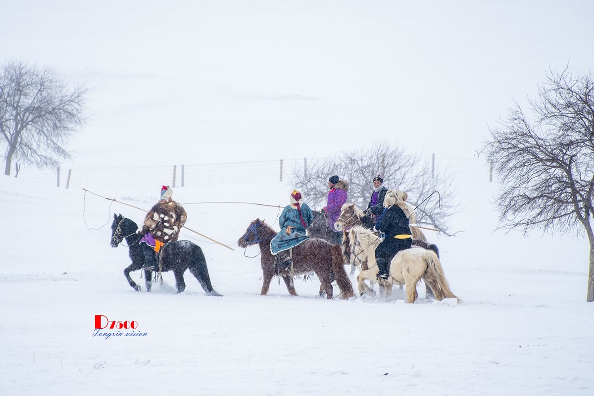 强健&靓丽的牧马人（68）