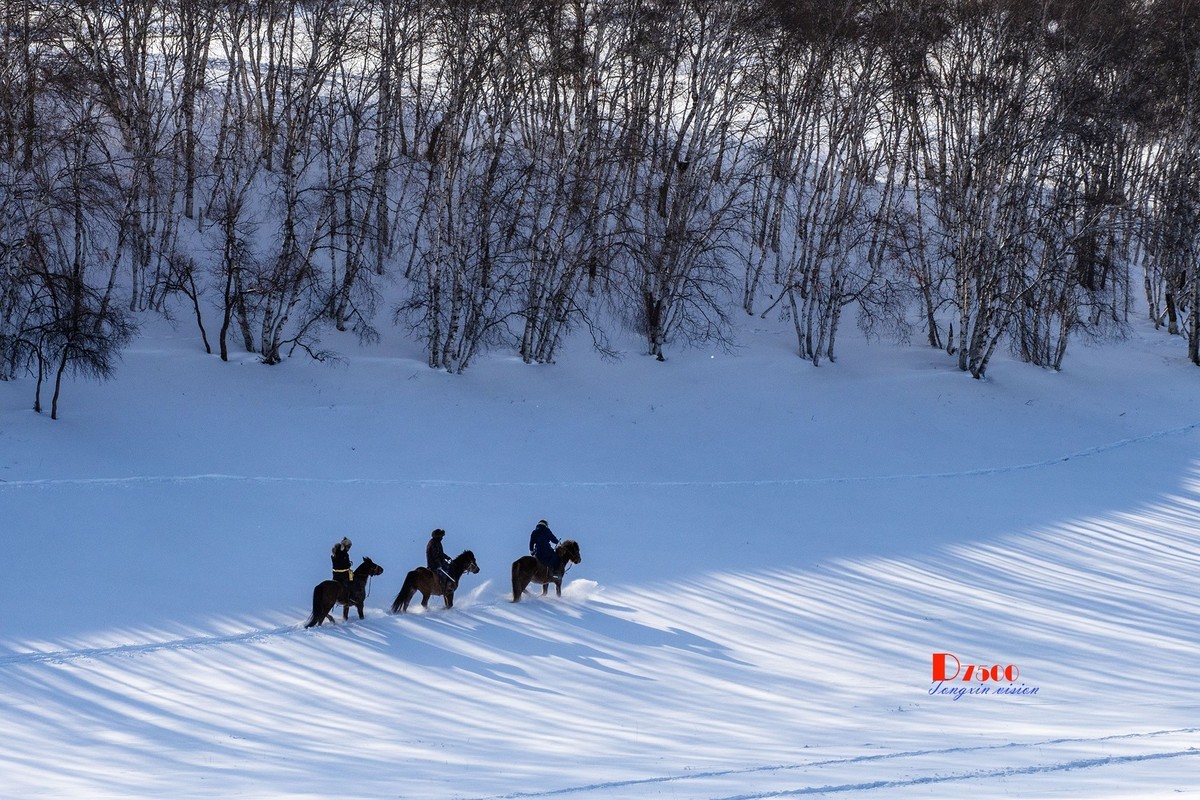 强健&靓丽的牧马人（68）