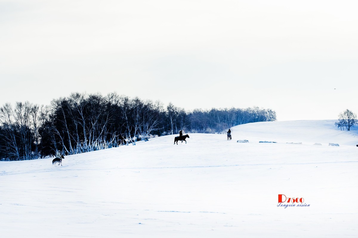 强健&靓丽的牧马人（68）