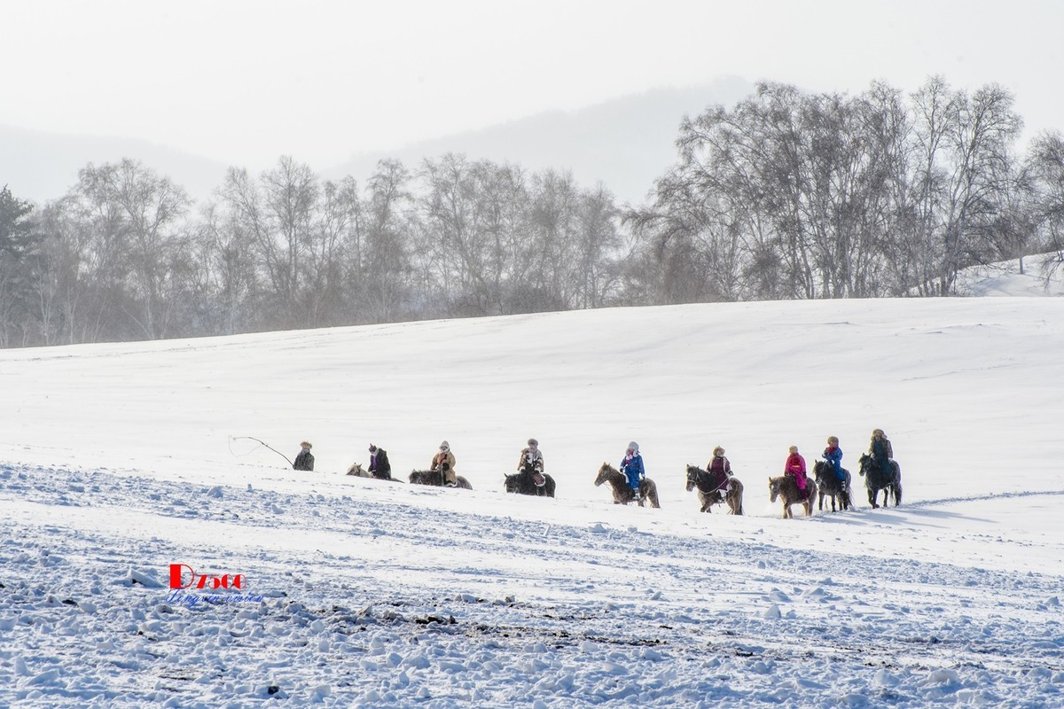 强健&靓丽的牧马人（68）