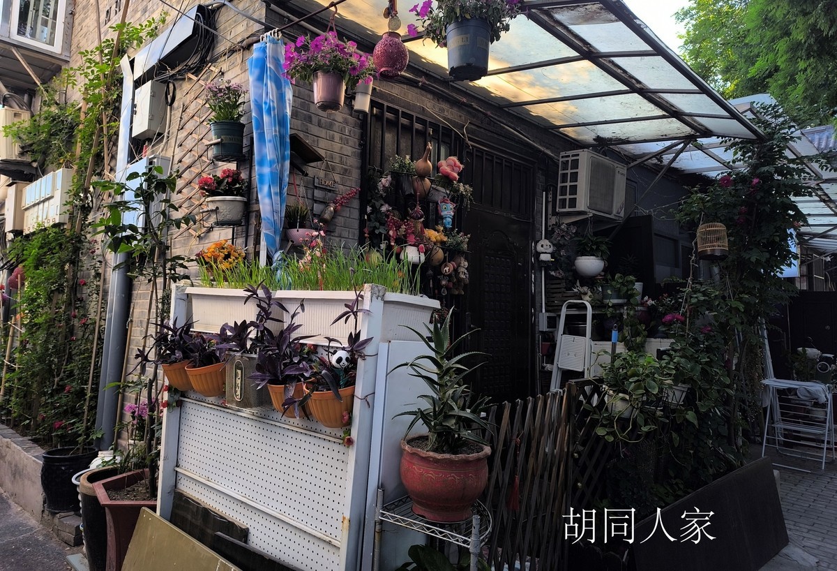 一组手机无主题杂拍！