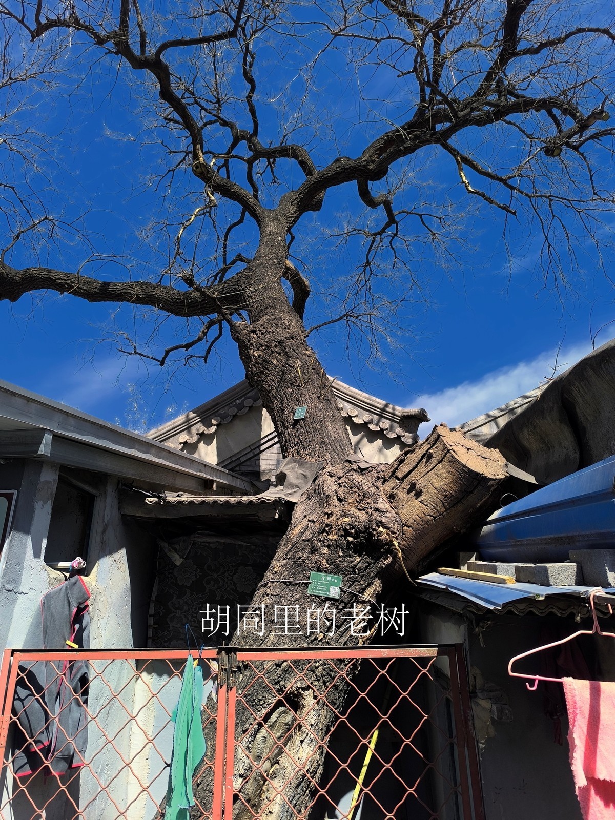 一组手机无主题杂拍！