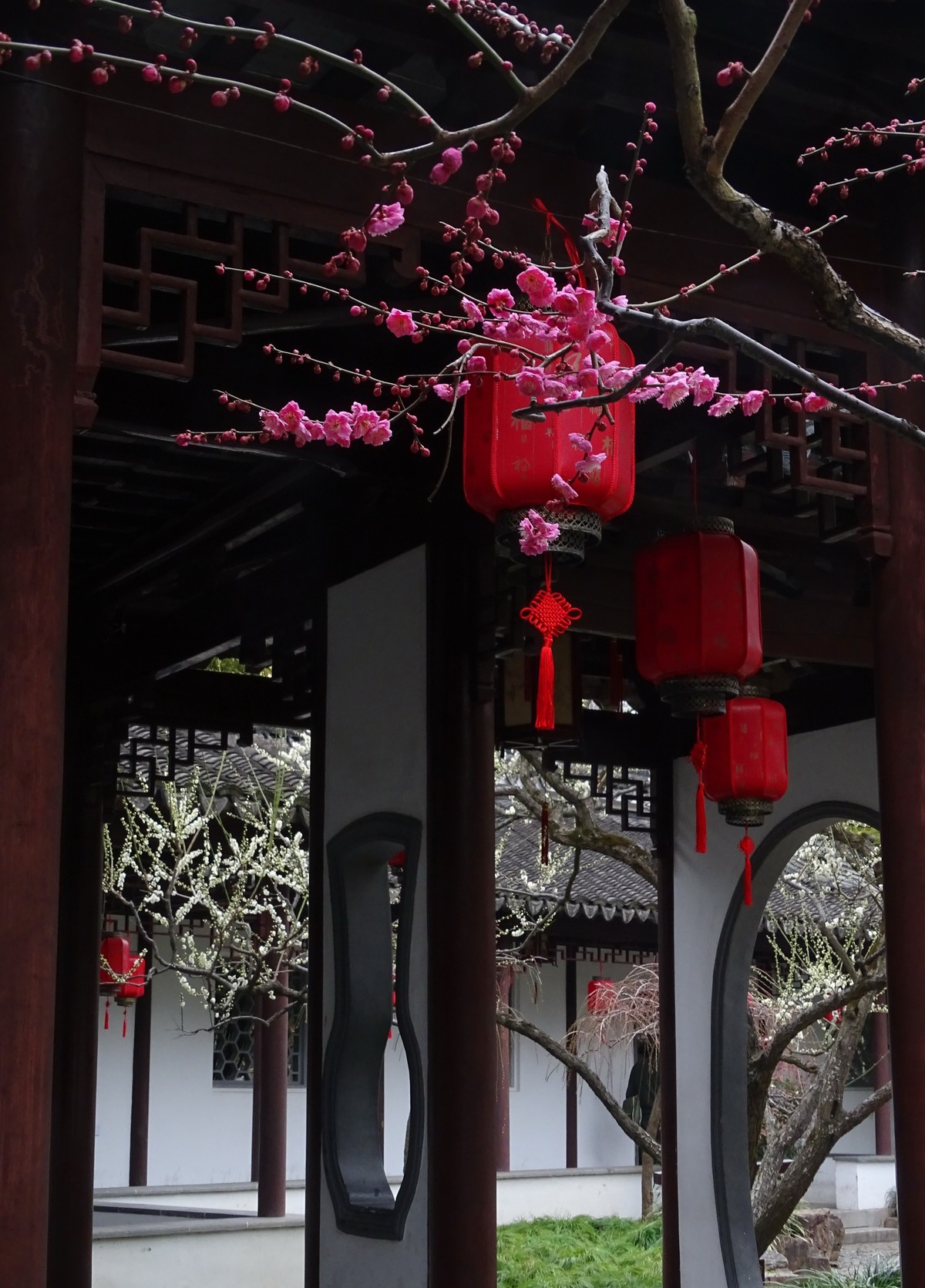 旅游（223）：初春古猗园赏梅（1）