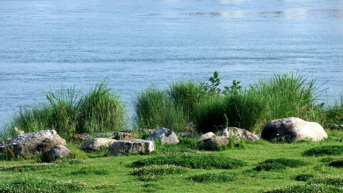 富士S205EXR试机照