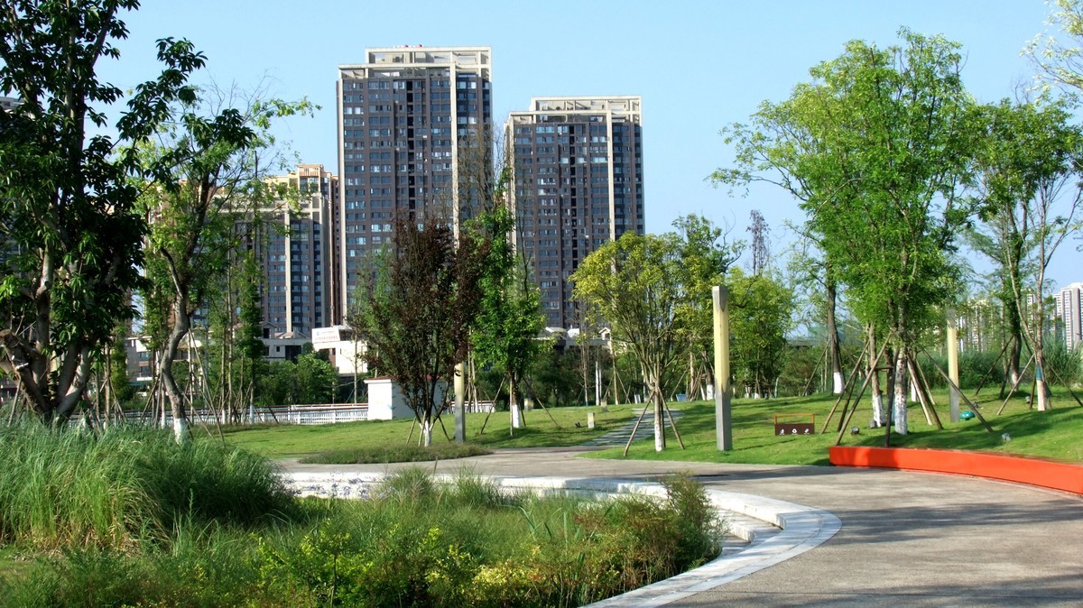 富士S205EXR试机照