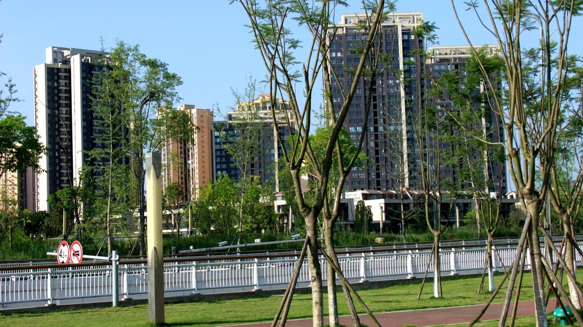 富士S205EXR试机照