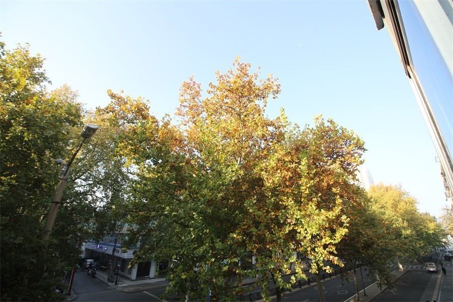 洛阳涧西区冬天暖洋洋的景像