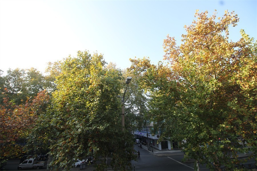 洛阳涧西区冬天暖洋洋的景像