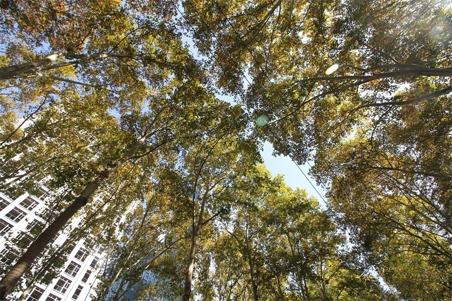 洛阳涧西区冬天暖洋洋的景像