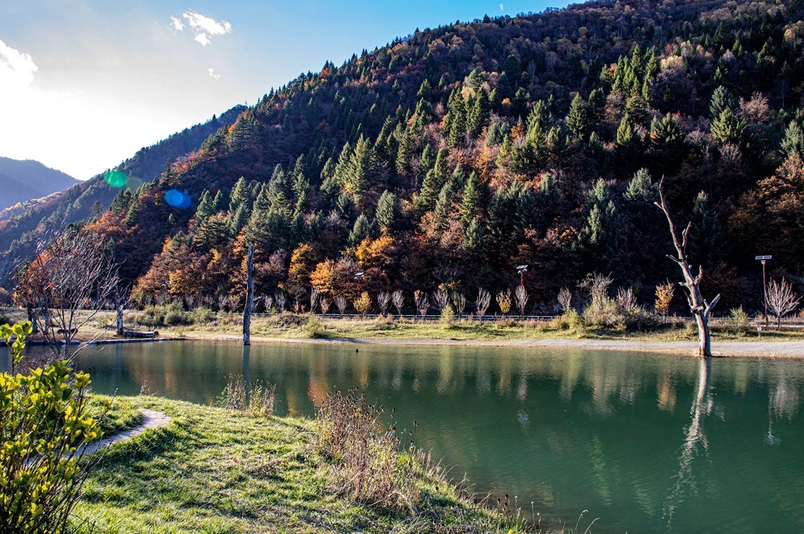 川西--黑水--奶子沟彩林【5】