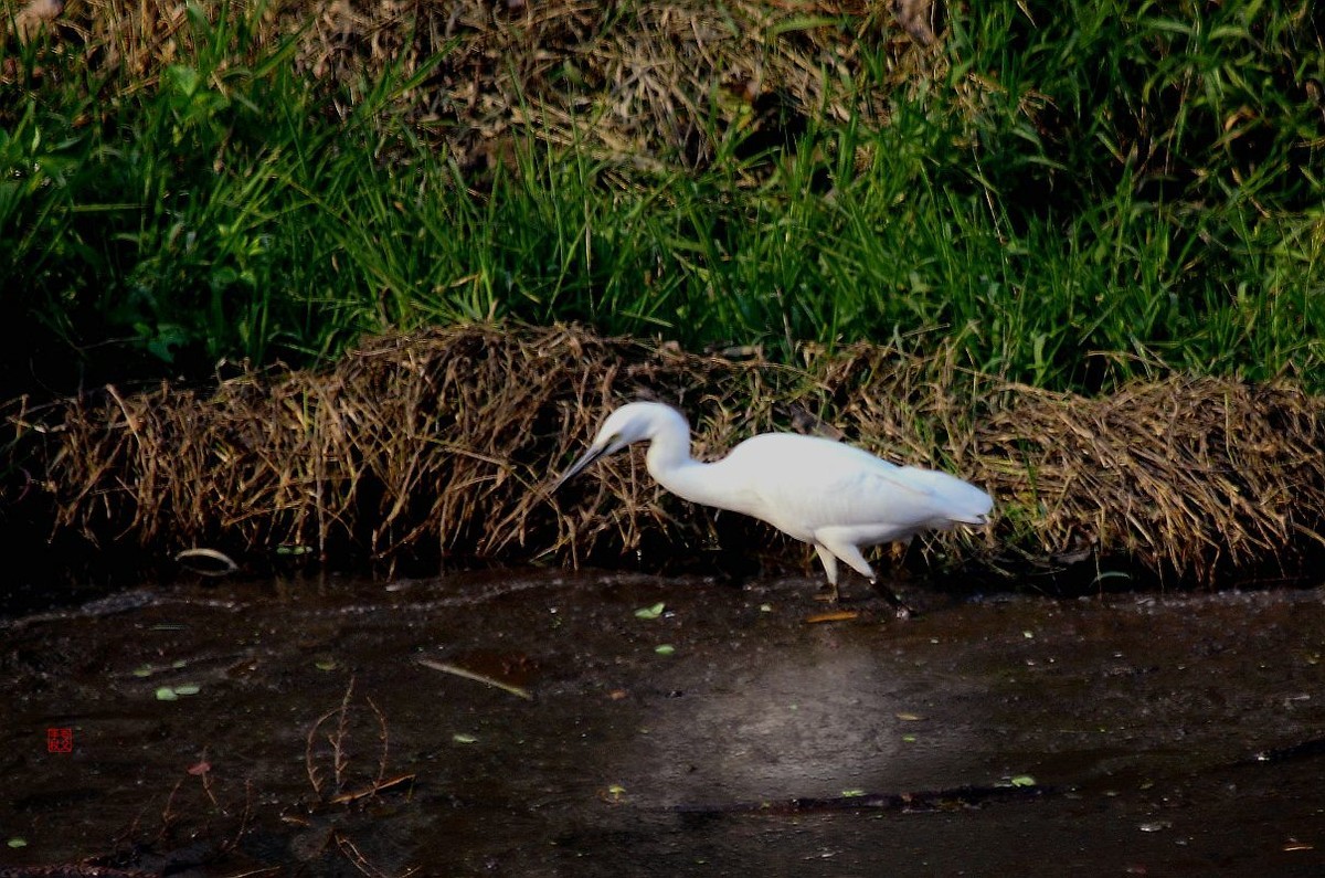 水污染，生存堪忧（一）
