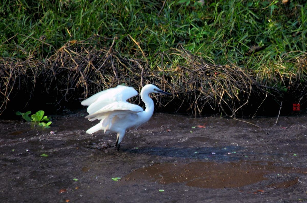 水污染，生存堪忧（一）