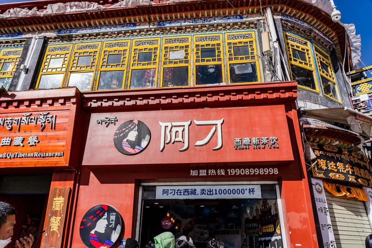 a7C+ FE 24-105 G ( 西藏掠影 )二