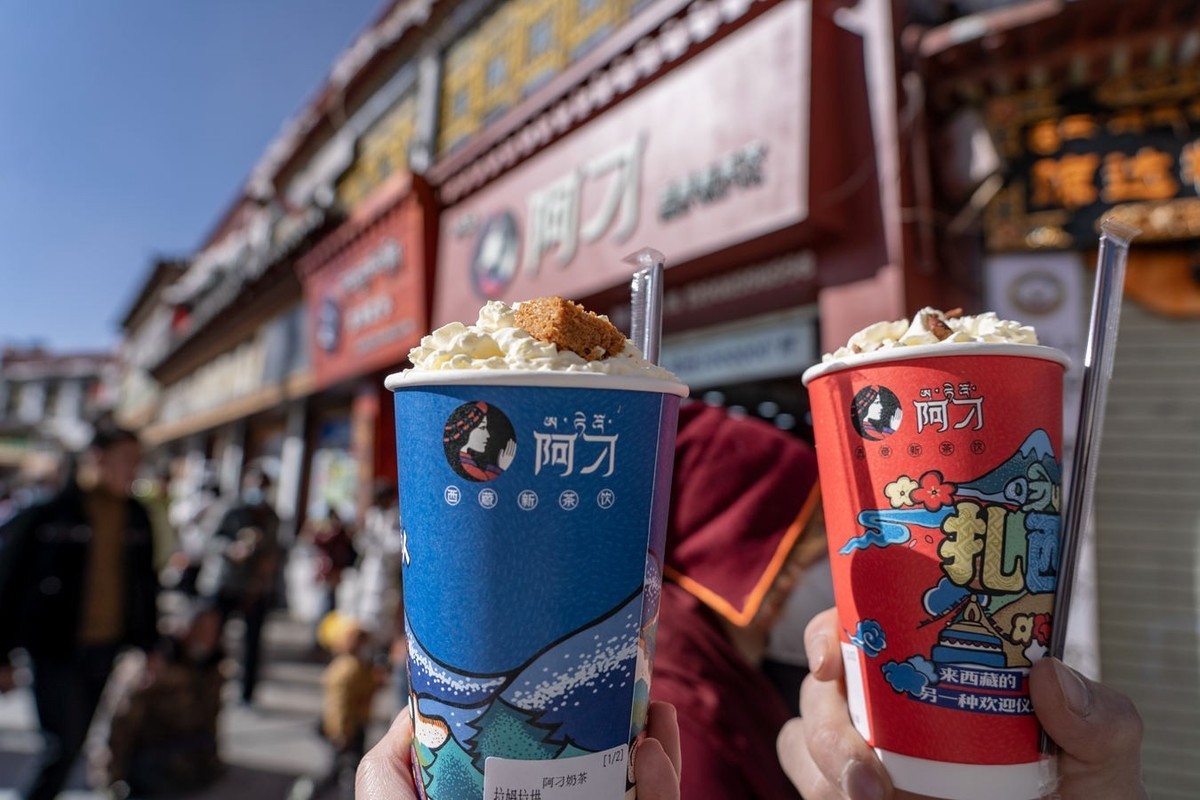 a7C+ FE 24-105 G ( 西藏掠影 )二