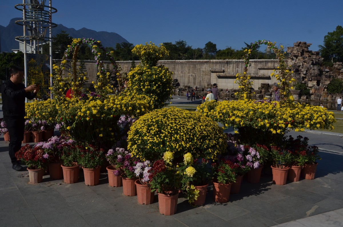 送上菊花新贴，拜访各位老师和好友！