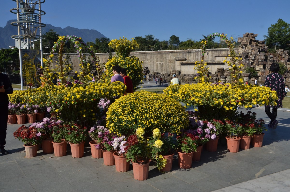 送上菊花新贴，拜访各位老师和好友！
