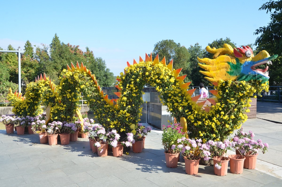 送上菊花新贴，拜访各位老师和好友！