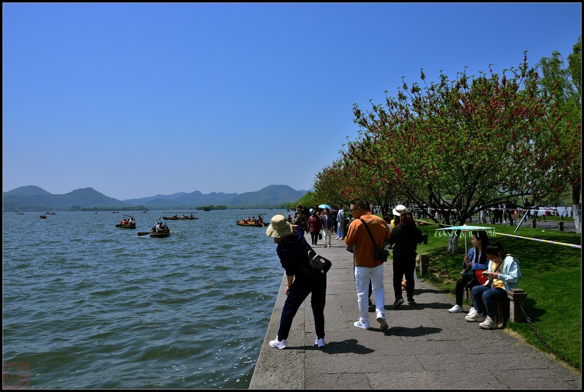 到此一游----杭州西湖随拍